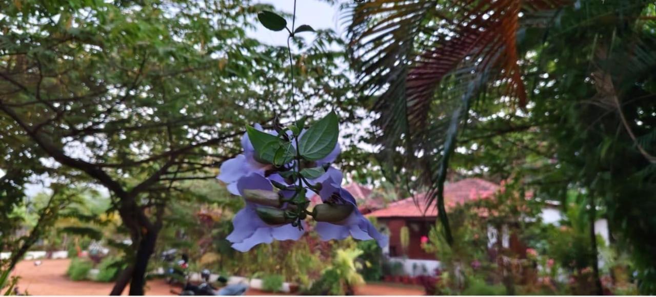 Niyati Home Stay Gokarna  Exteriör bild